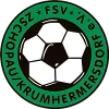 FSV Zschopau/Krumh.
