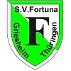 SV Fortuna Griesheim